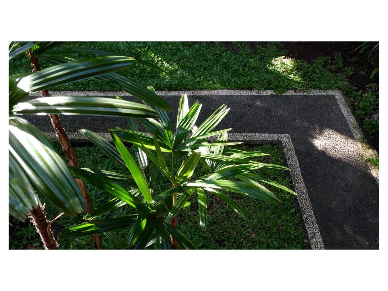 In Da Garden Apartment อูบุด ภายนอก รูปภาพ