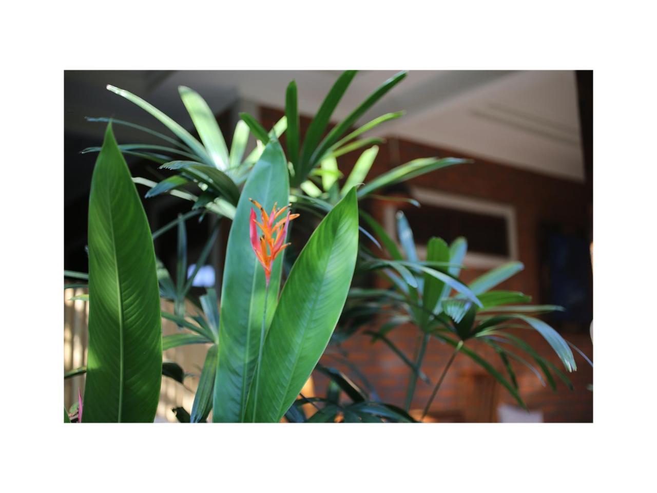 In Da Garden Apartment อูบุด ภายนอก รูปภาพ