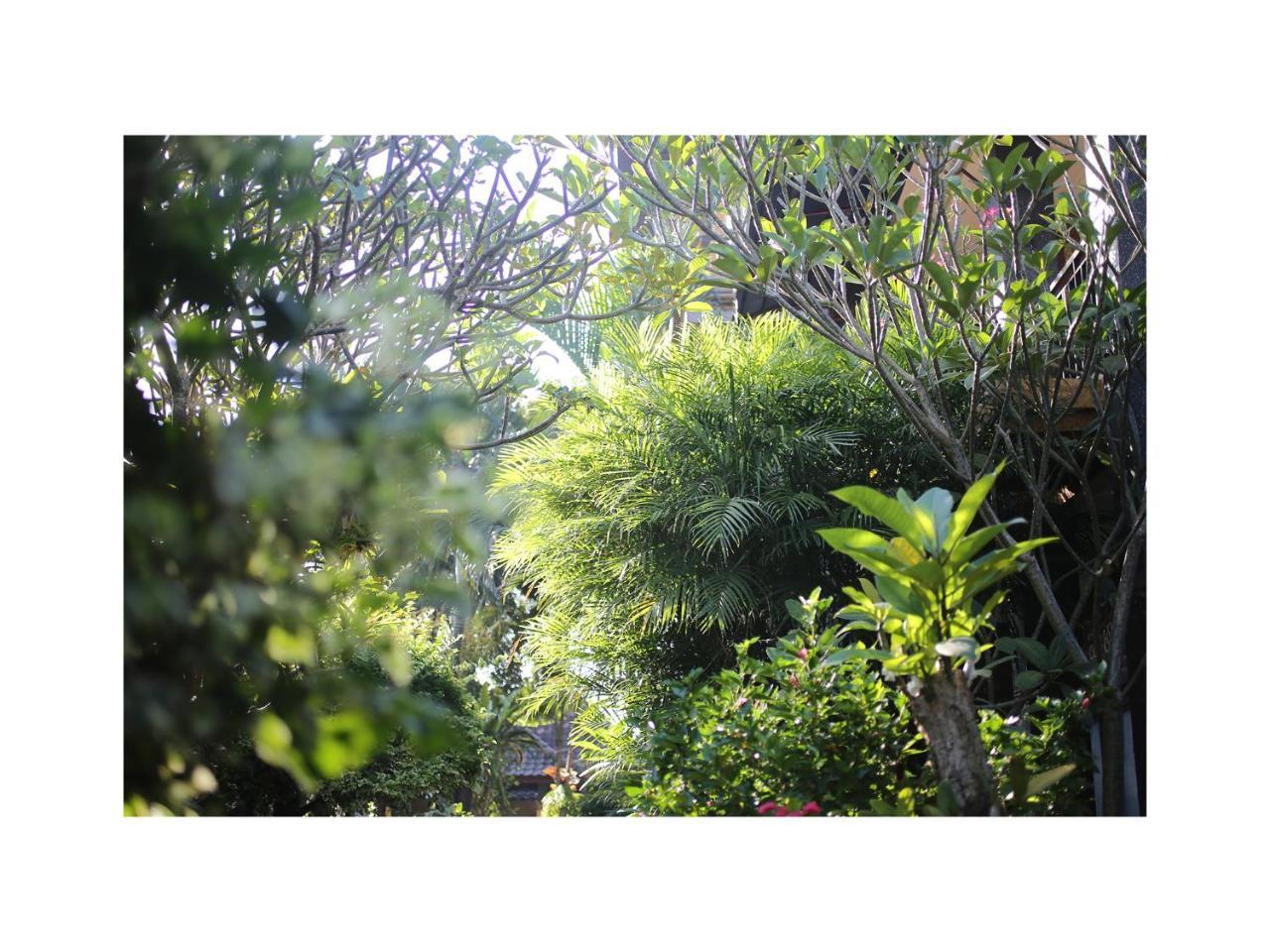 In Da Garden Apartment อูบุด ภายนอก รูปภาพ